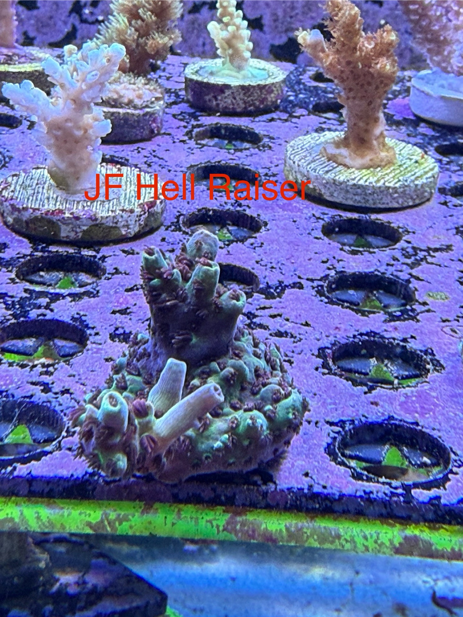 8ofAg2C.jpeg