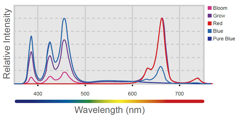 H80-Spectrum-graph.png