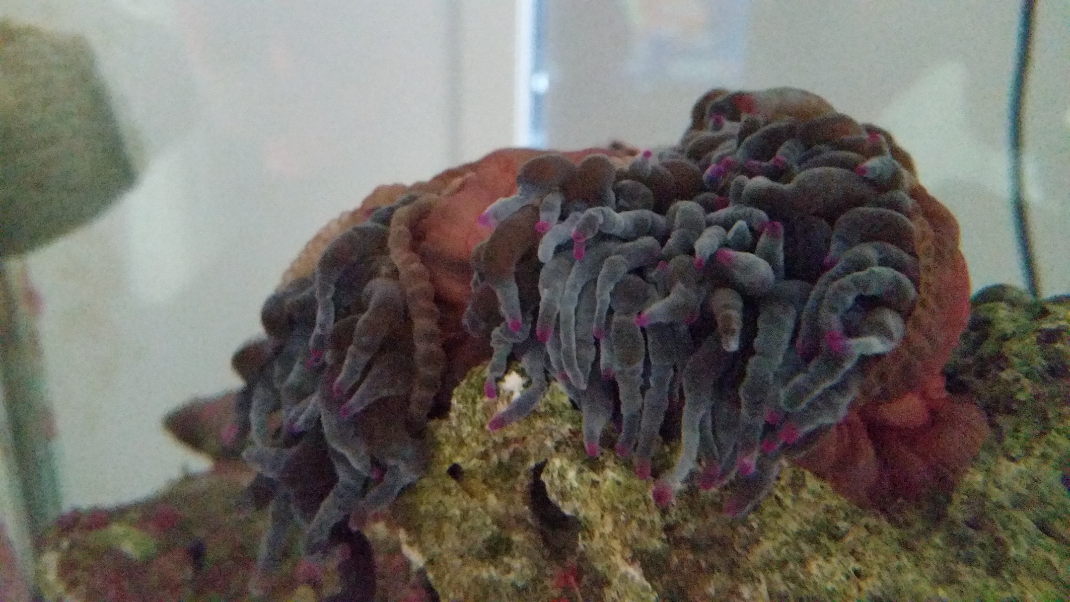 cWrTSTc.jpg