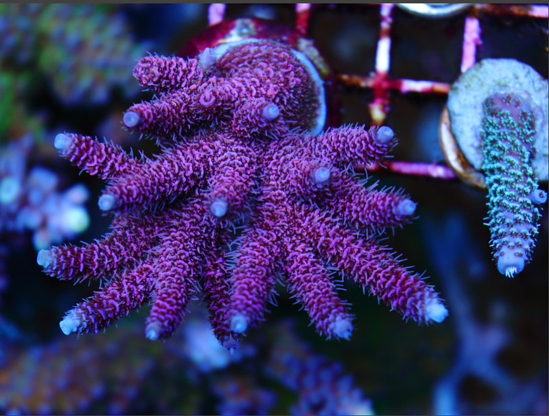 48802855171_d64d503589_c.jpg