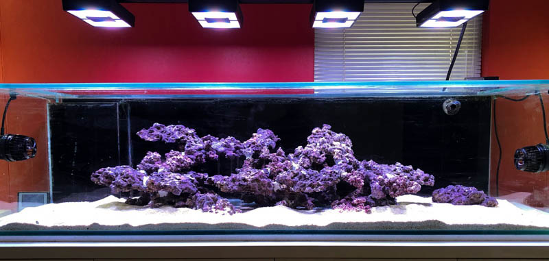 jt92q4f.jpg