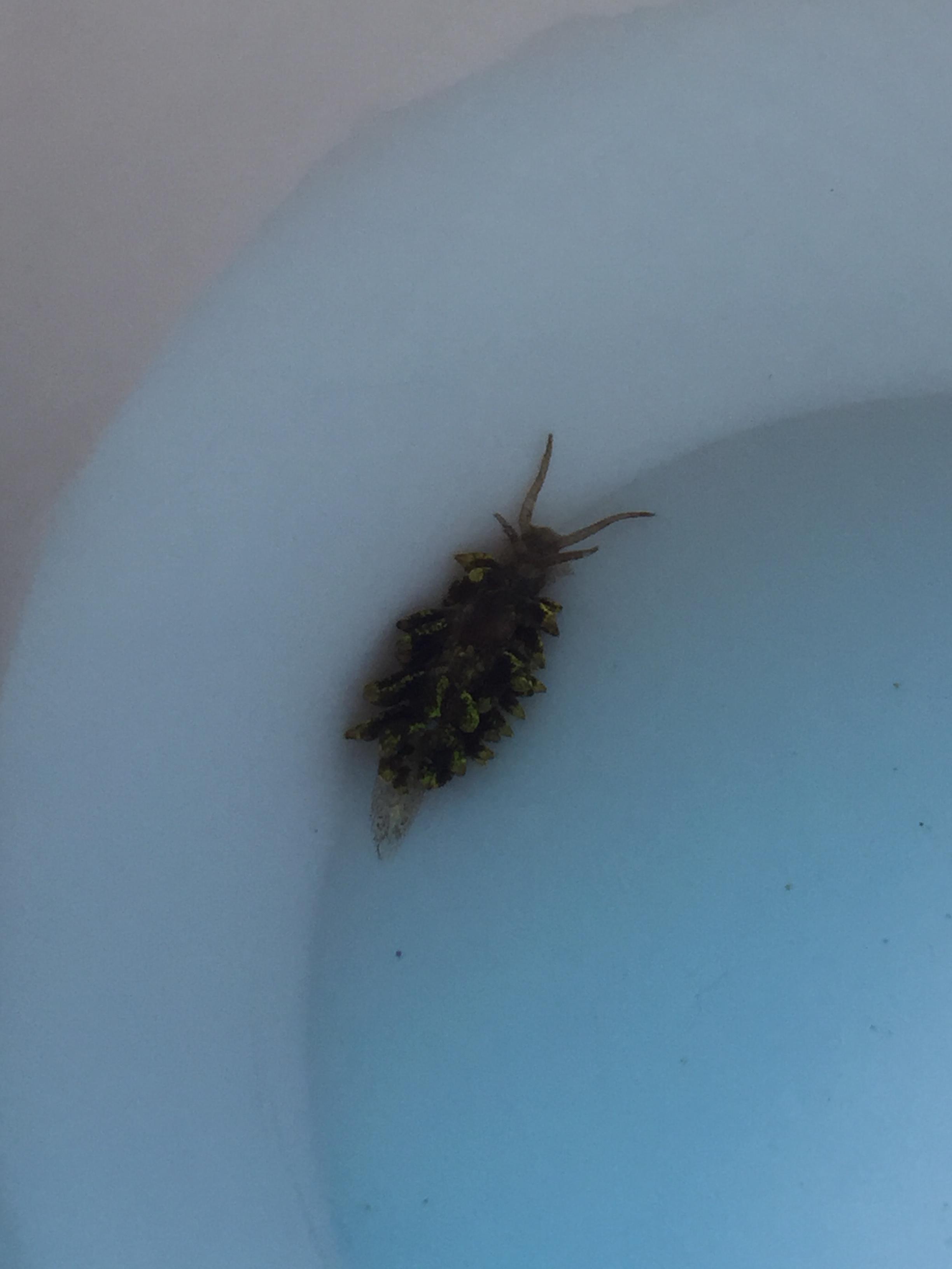 29K1oPF.jpg
