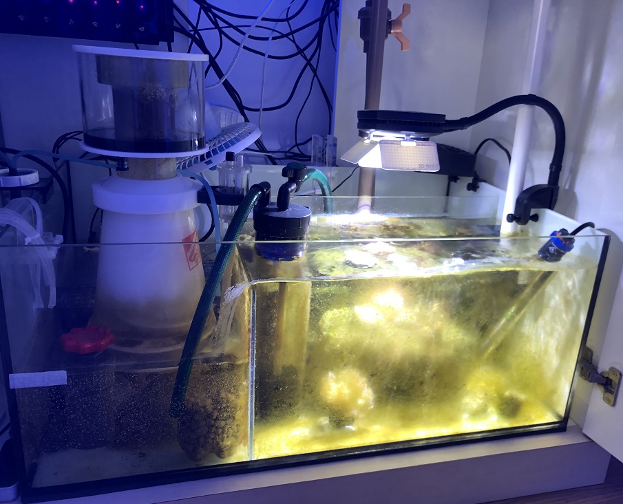 sump2.jpg