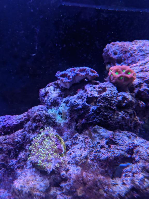 iIeE37F.jpg
