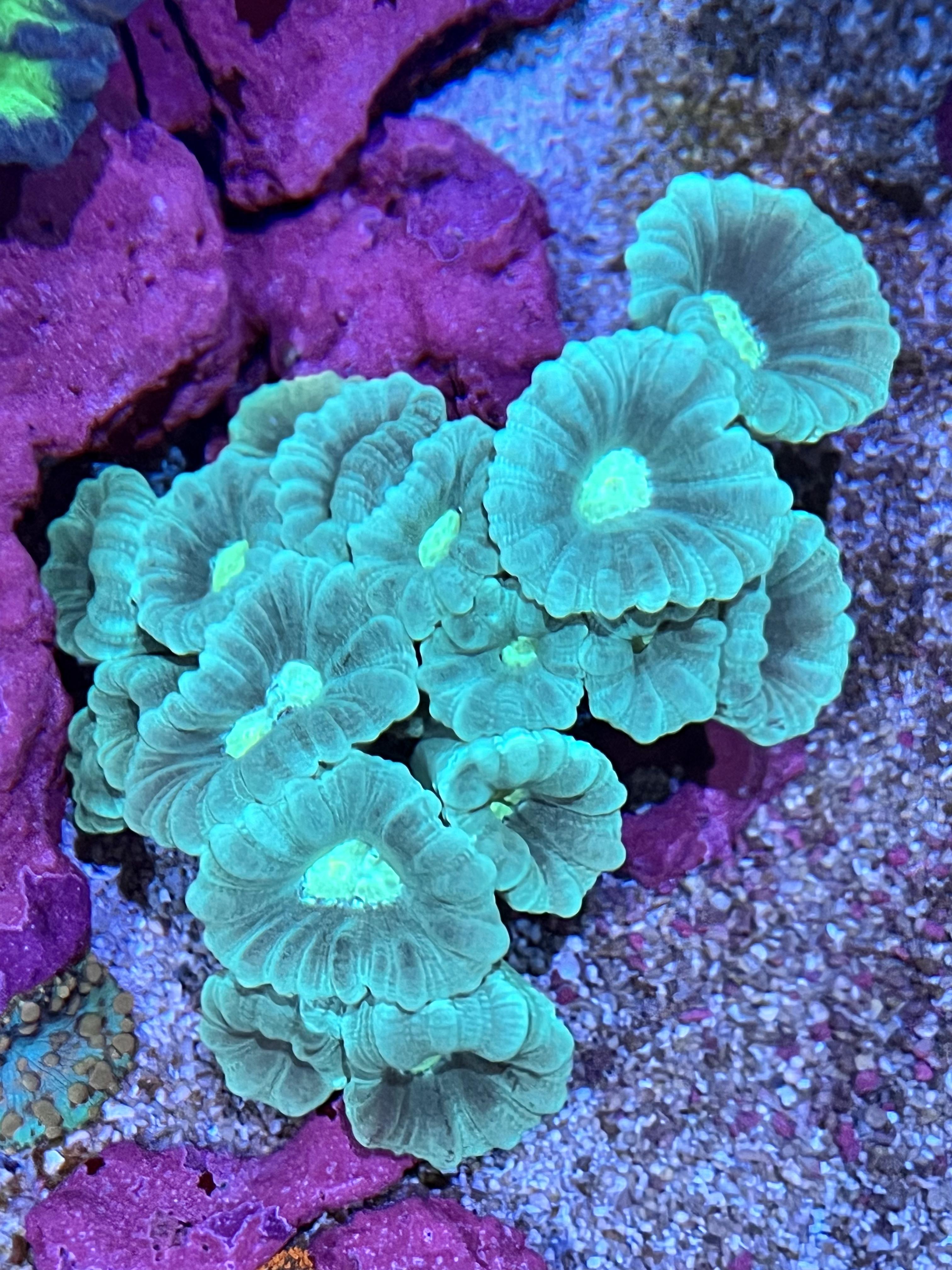 b43fcd67f2b572918b235ea40aa75be0.jpg
