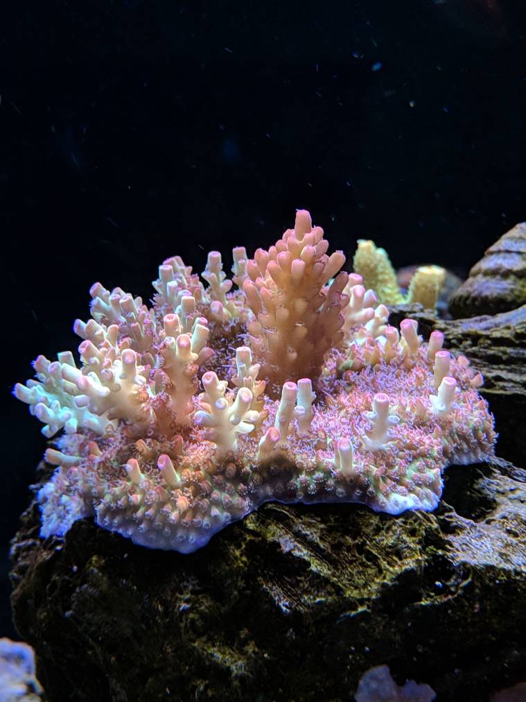 fd4e1486e159c20ffa761df9943e49ce.jpg