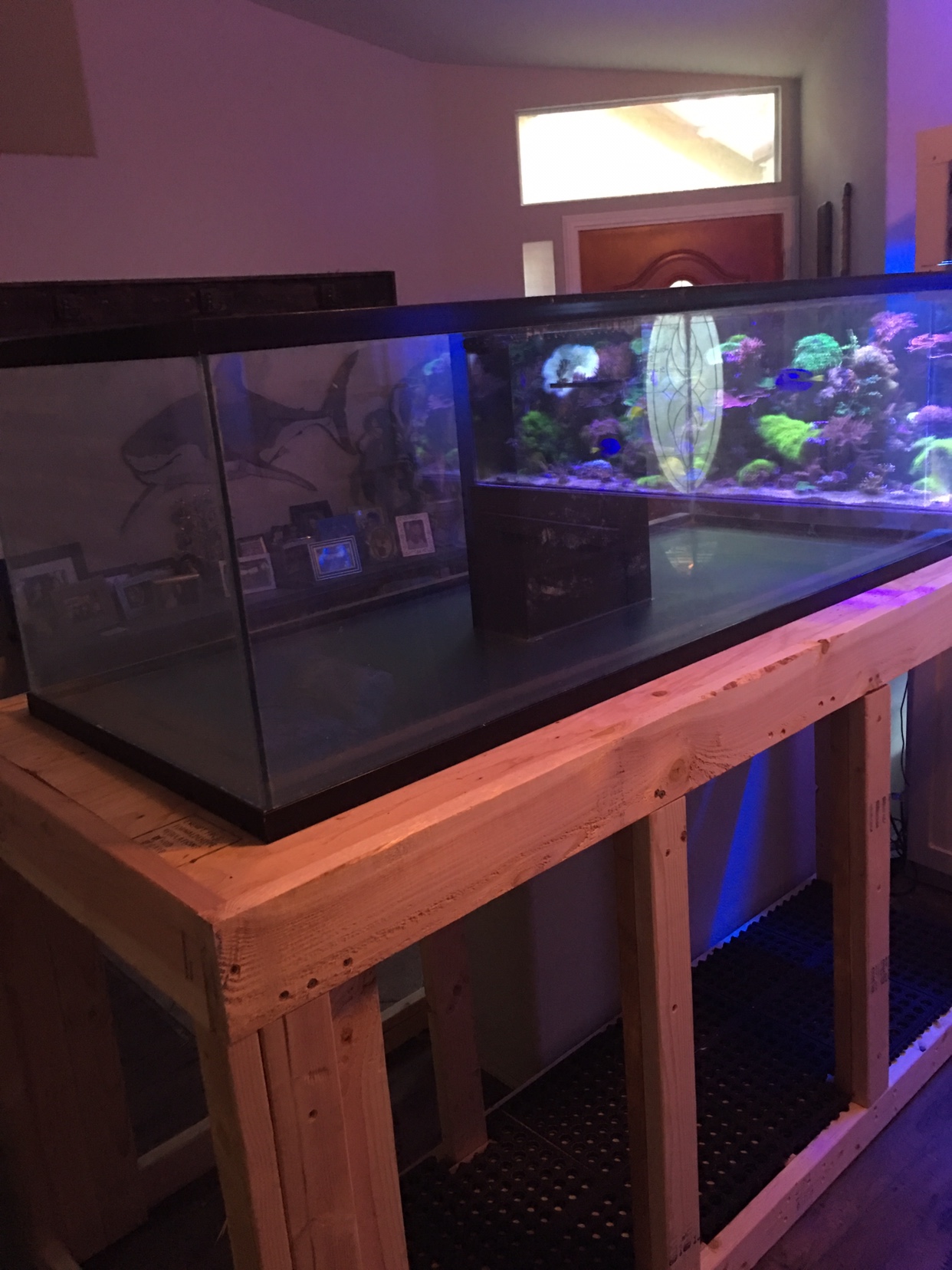746e47dcafca537135d6f5792b63aee2.jpg
