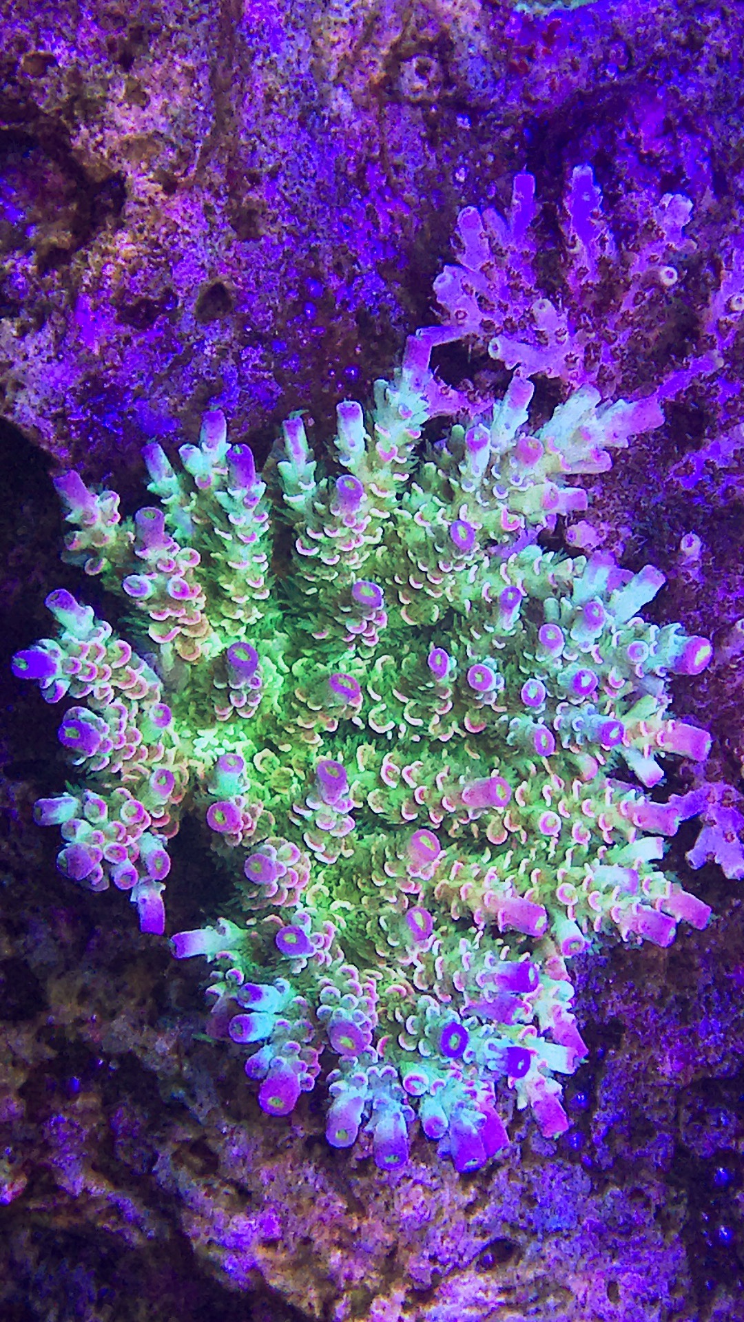 d92fd4d3efb685ee3c7b76ab645f0e9a.jpg