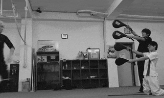 Martial Arts Win GIF