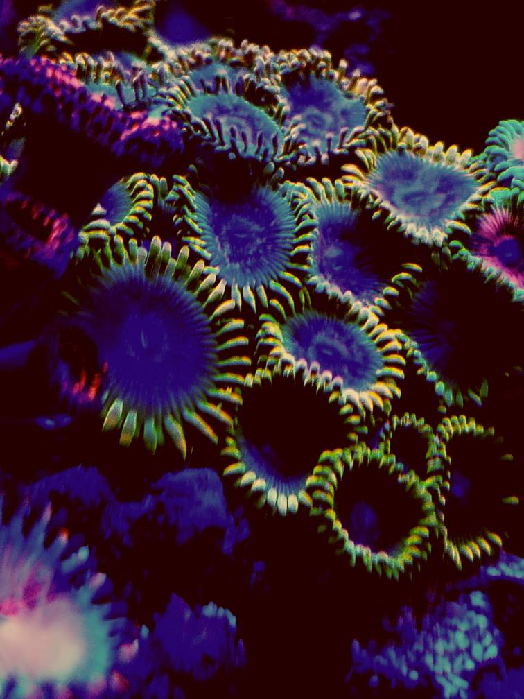 46f3622ea5eeef73fd179e312c49c8ee.jpg