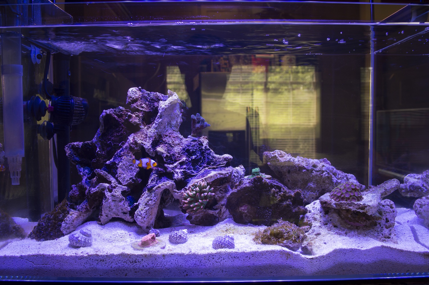 Tank27-17.JPG