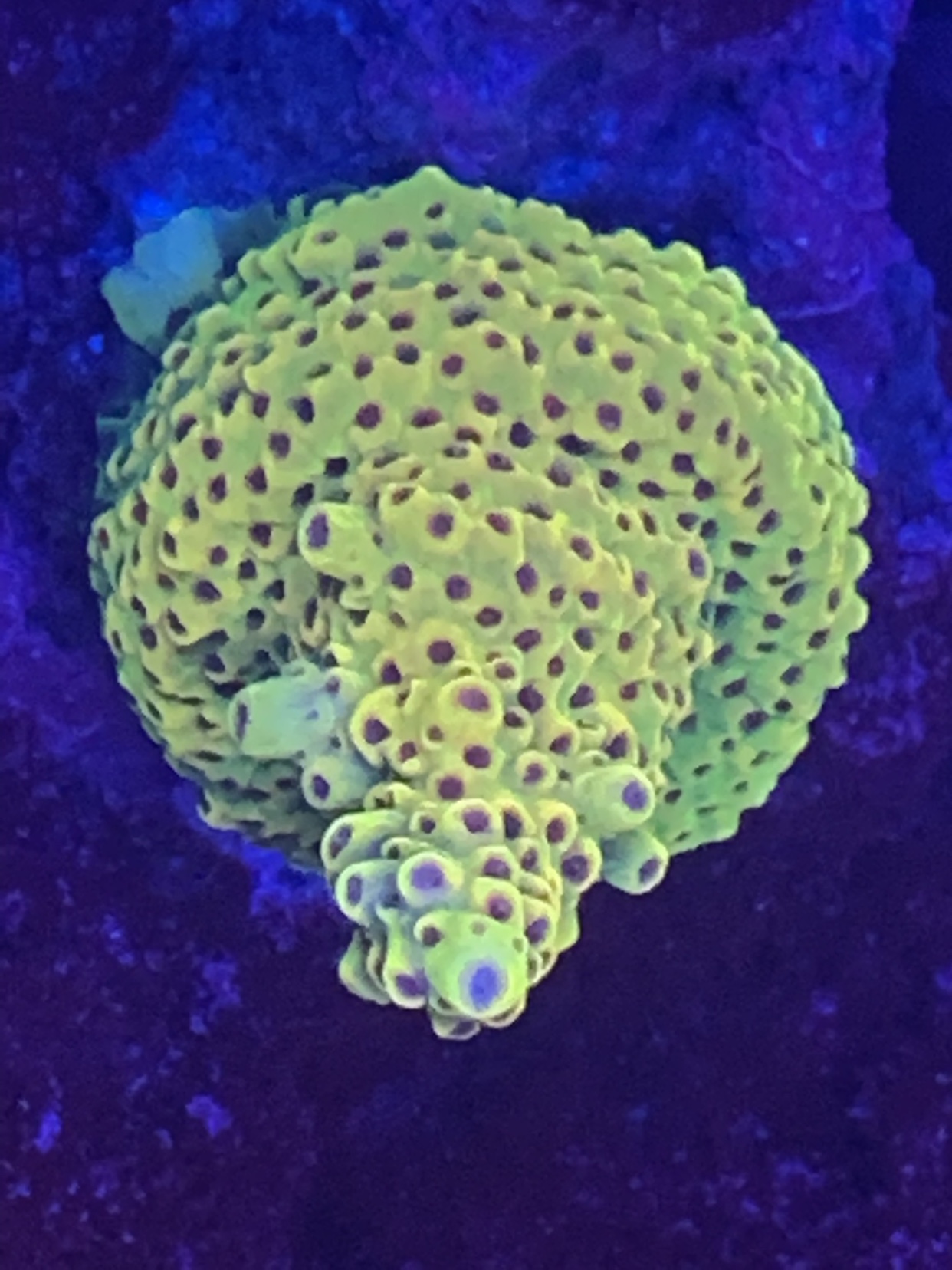 f89fa2e2aa3b9d44e0539115432b454d.jpg