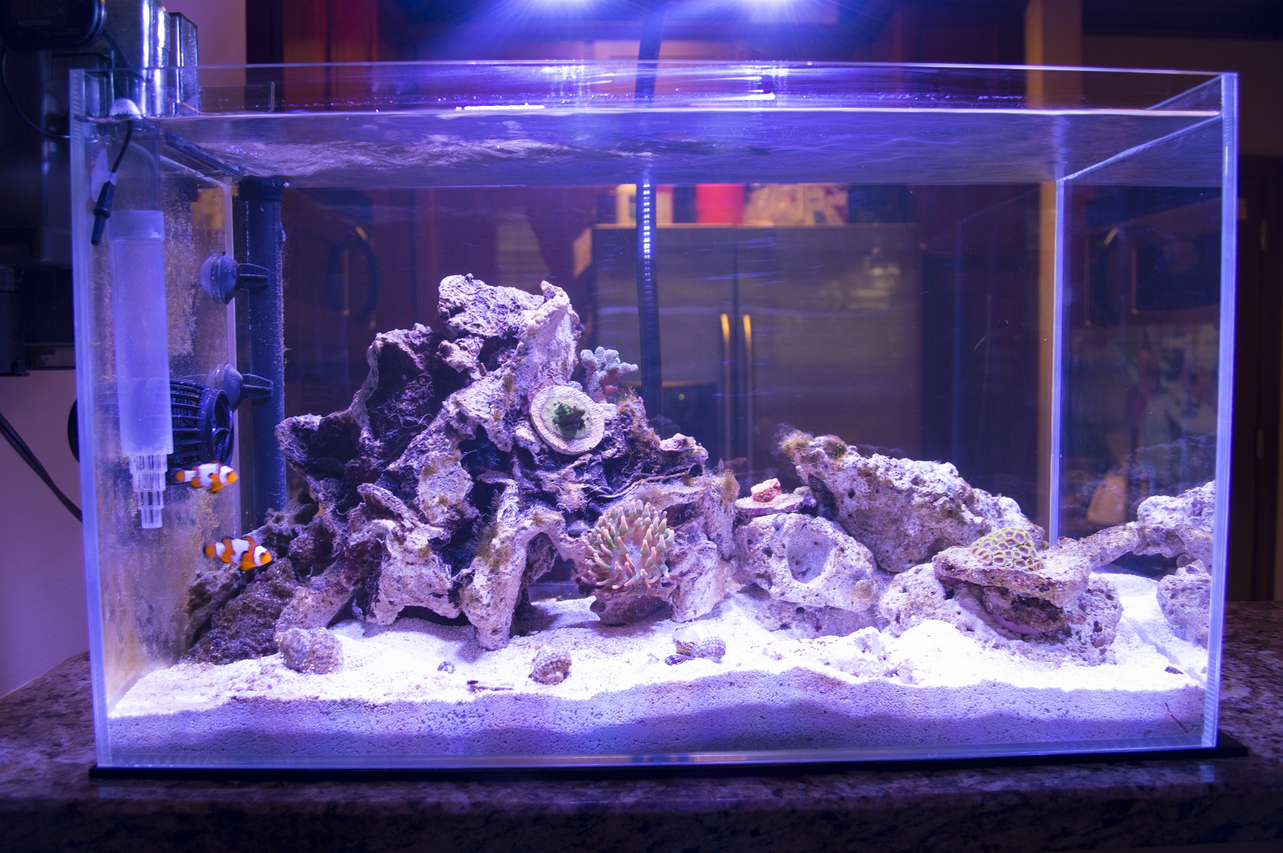 FTS1.JPG