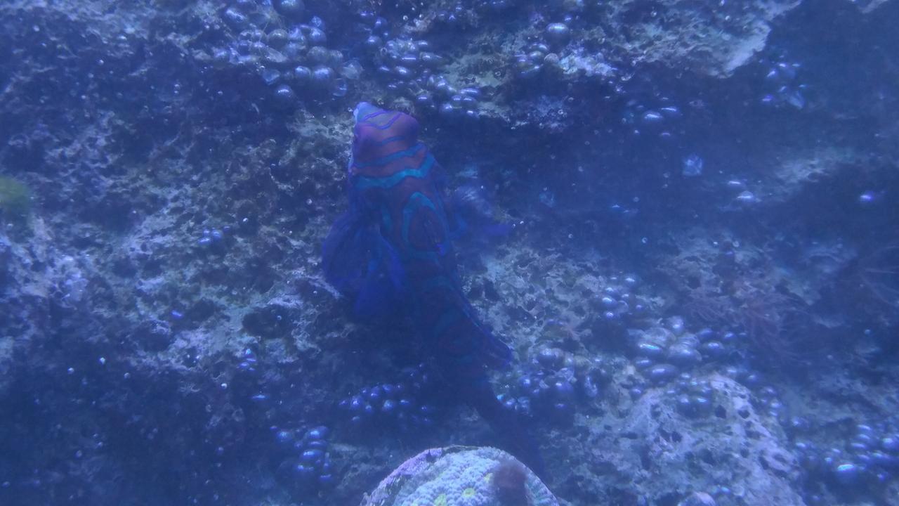 20171202_150344.jpg