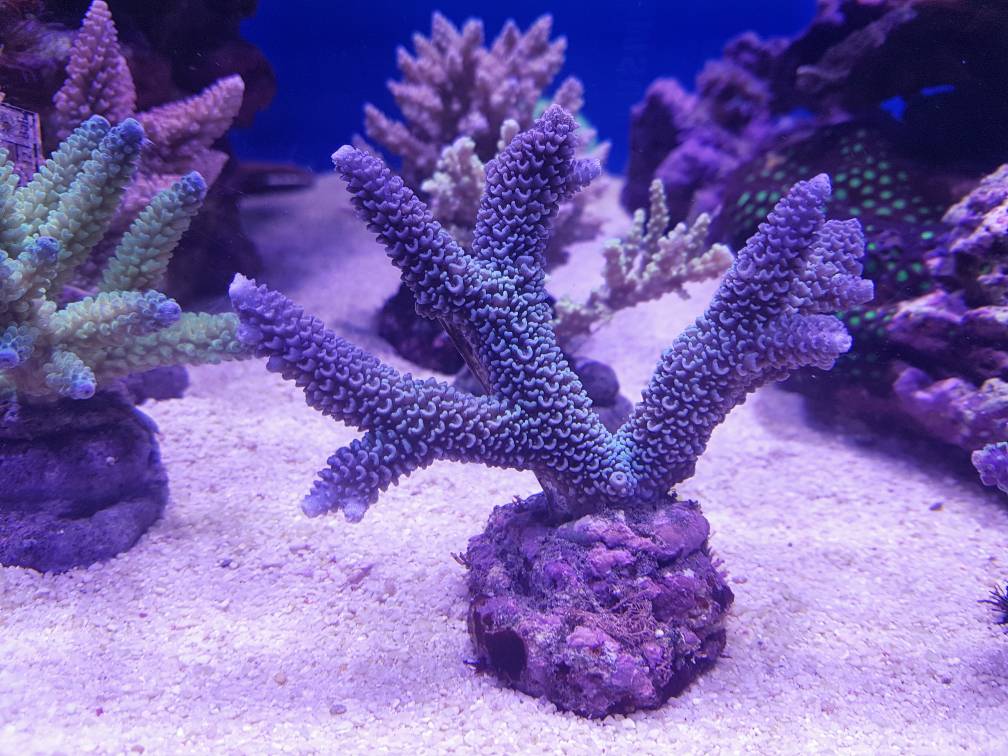 e65fd73ee4aa505c588d104e65b0dc70.jpg