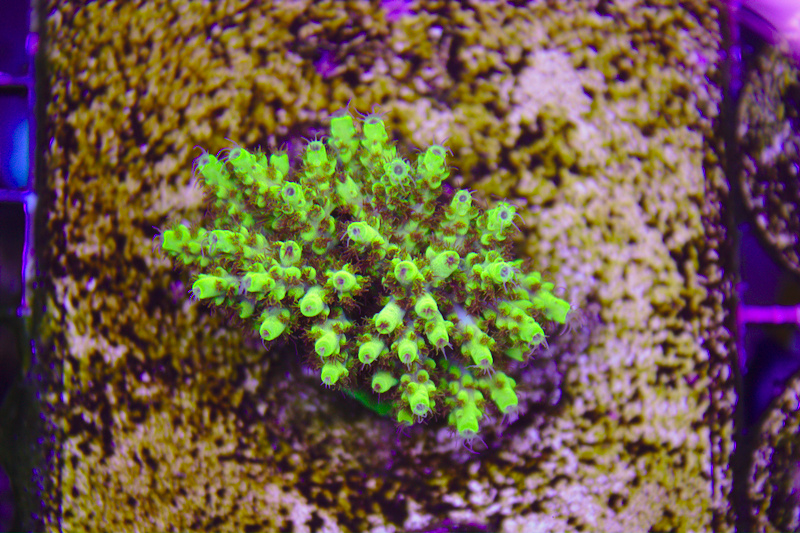 uuCf5Q0.jpg