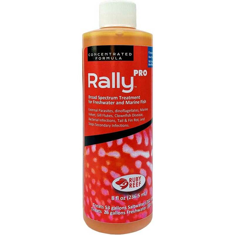 Rally PRO (8 oz) - Ruby Reef 