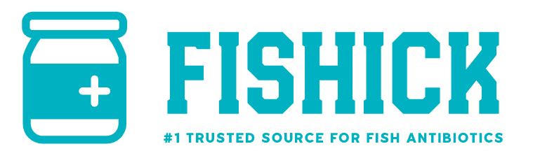 www.fishick.com