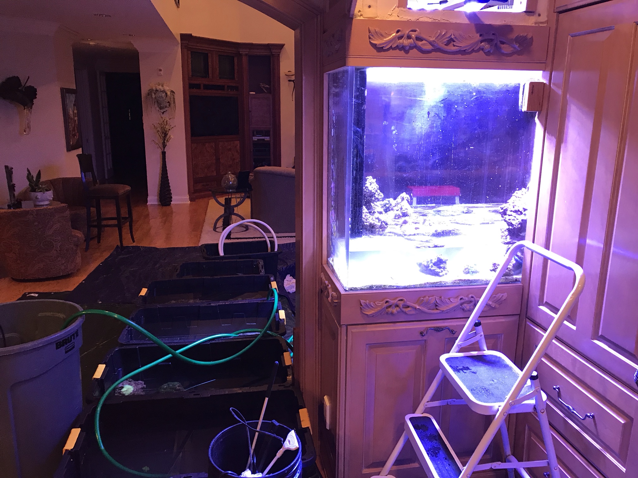 5ysg65f.jpg