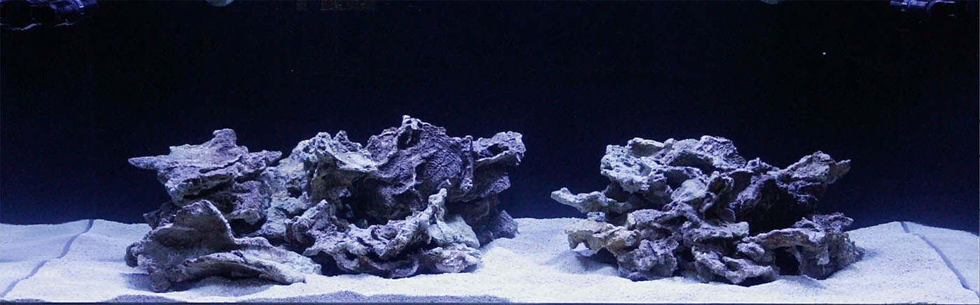 Full-Tank-April-30-2017-1.jpg