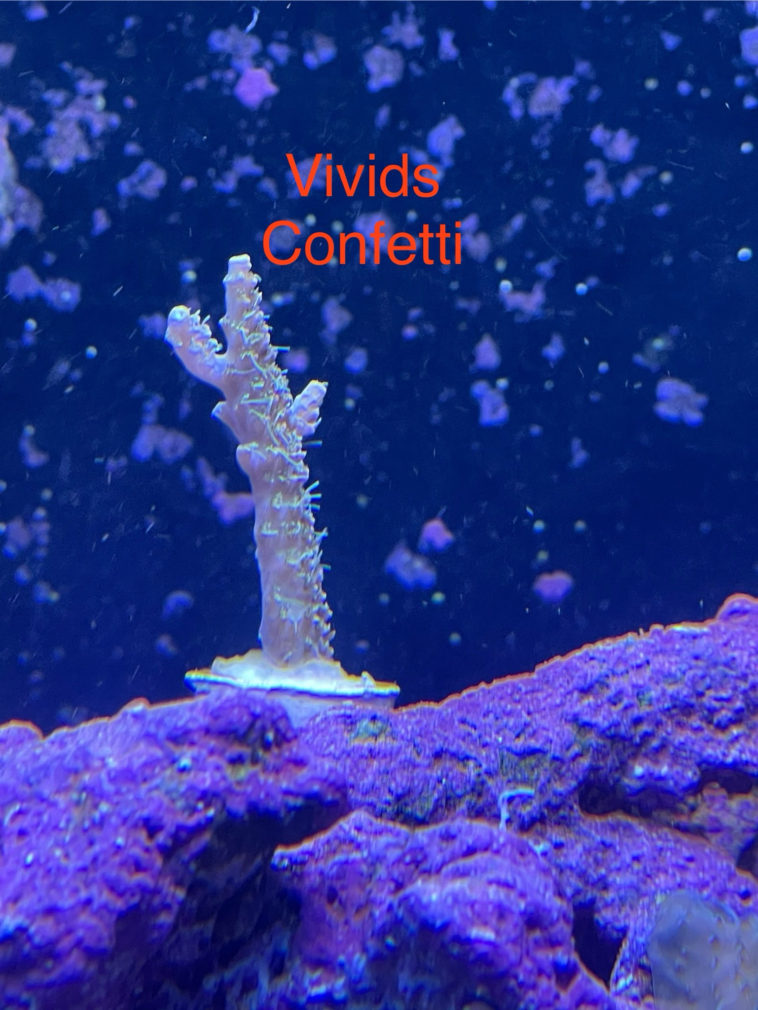 RCGn0Va.jpeg