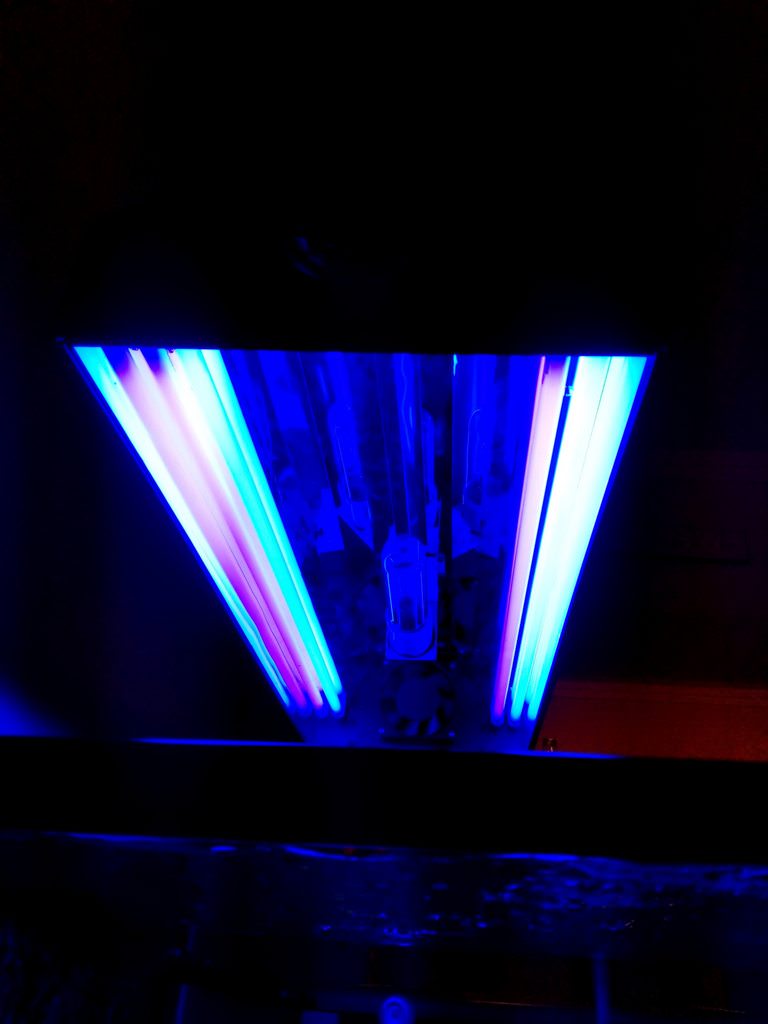 mFxb22nh.jpg
