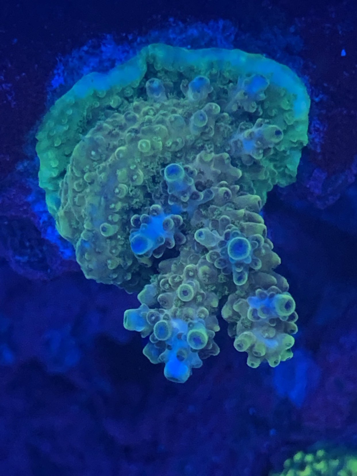 d8b419f475df36cce8cb31ece751fa3f.jpg