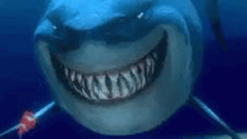 Bruce Finding Nemo GIFs | Tenor