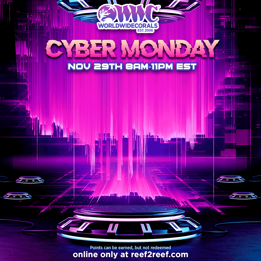 Cyber-Monday-Sale-1x1-Gif-2.gif