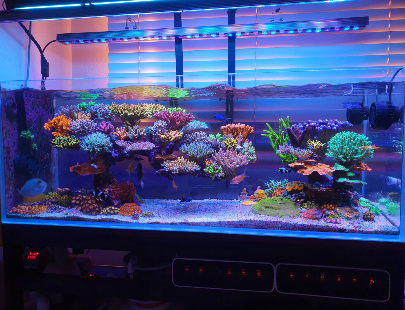 2020-Best-reef-aquarium-LED-Light-Orphek-1386x1060.jpg