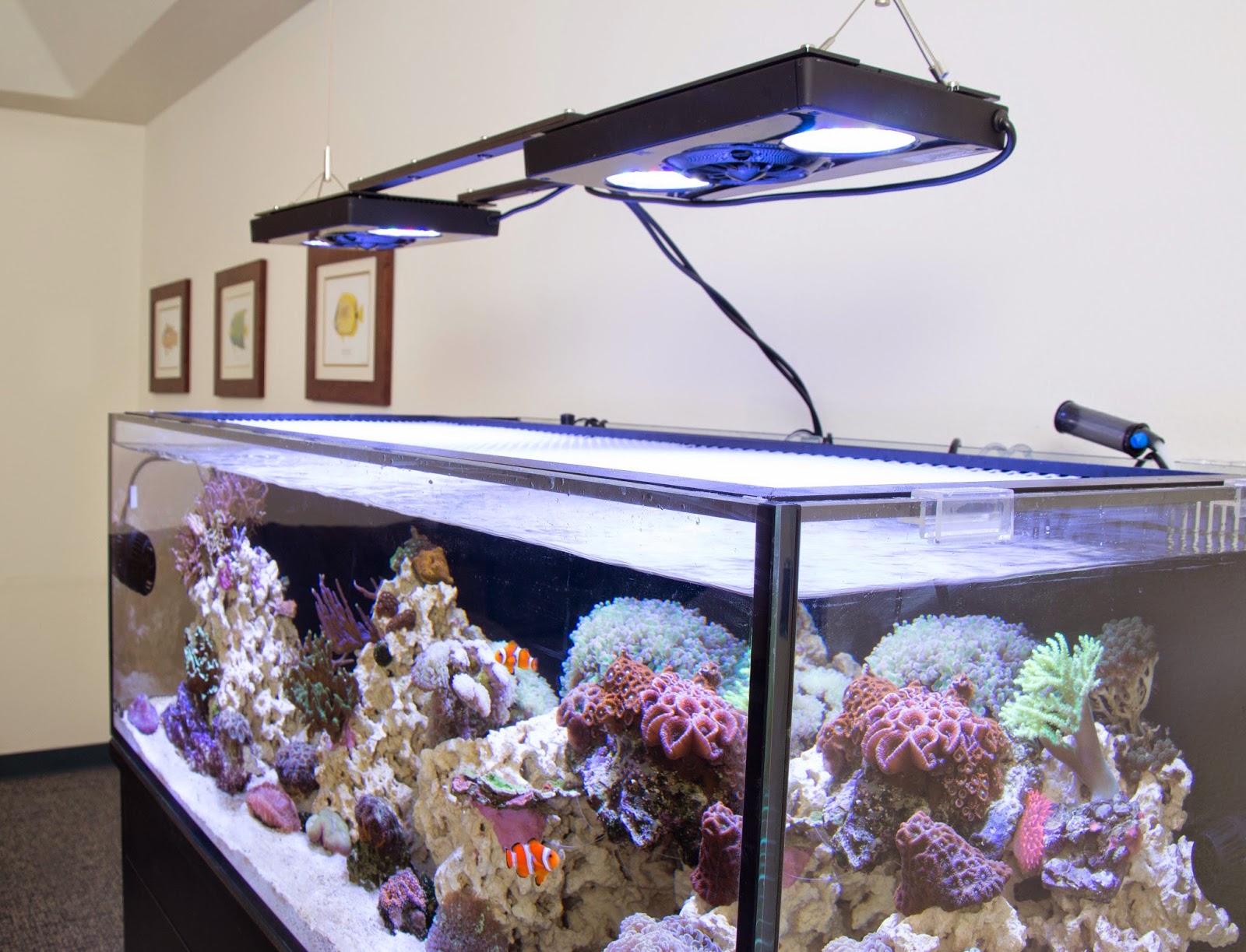 How Hang a Light | REEF2REEF Saltwater and Reef Aquarium Forum