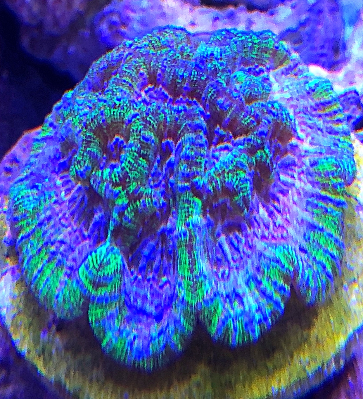 58cc86d6464004e66d8d51d12d86ca62.jpg