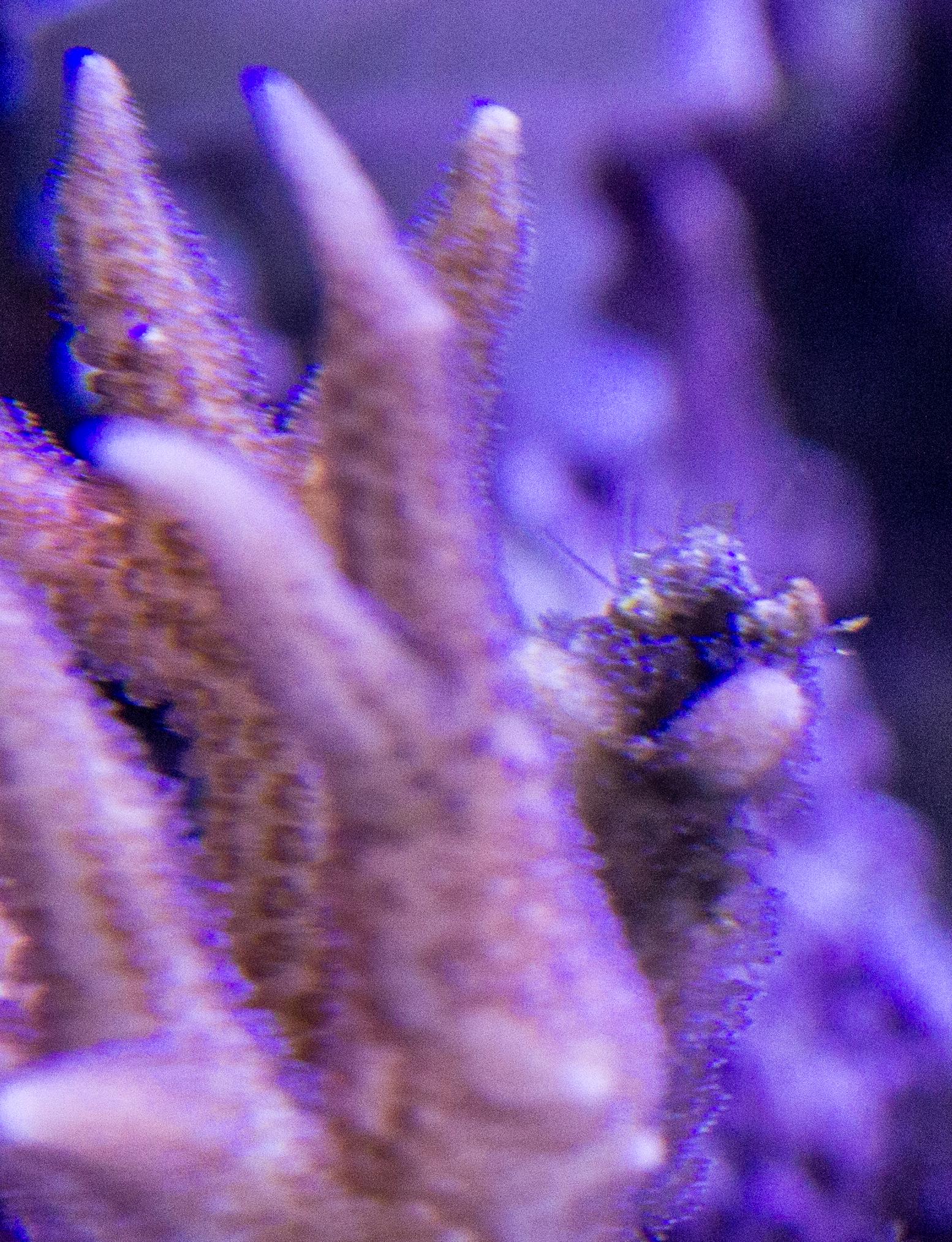 2xk1cBD.jpg