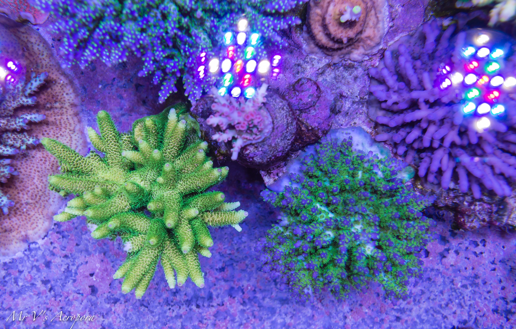 9b2ab313df59503f063bf9bcd85d05bc.jpg
