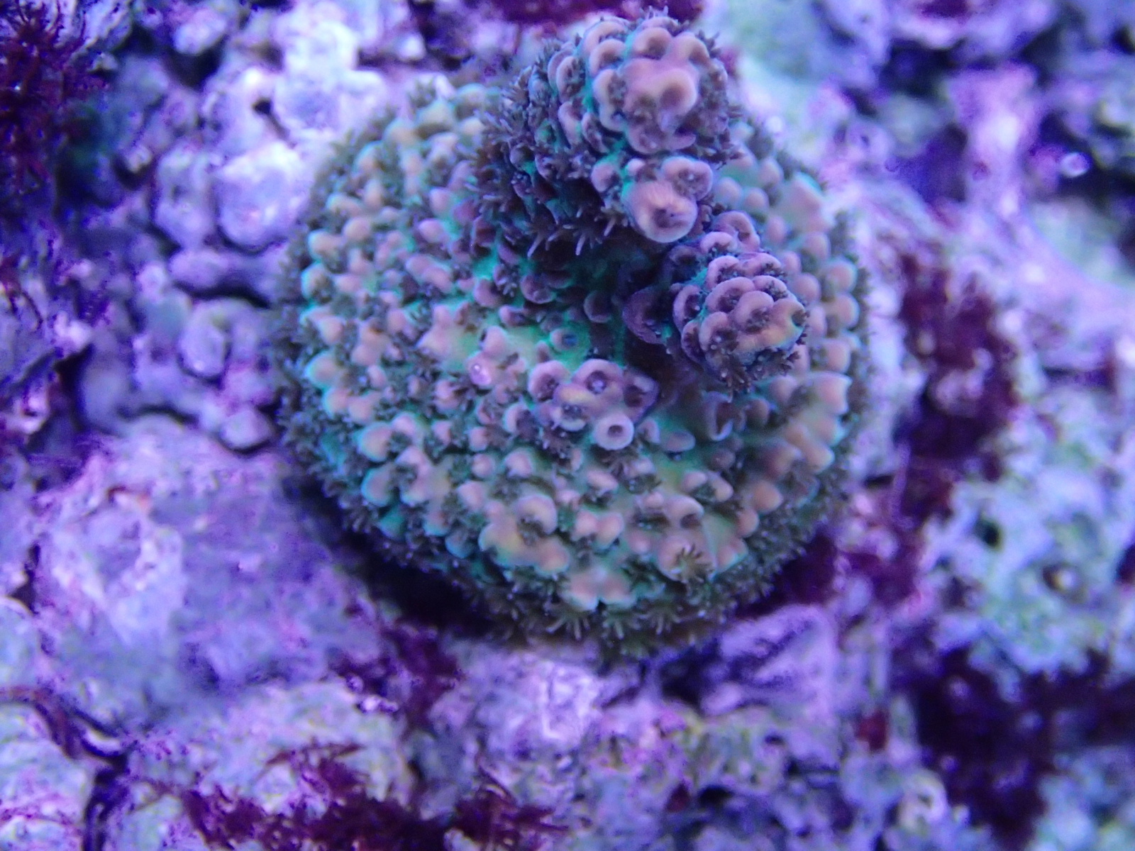 7mp6sMe.jpg