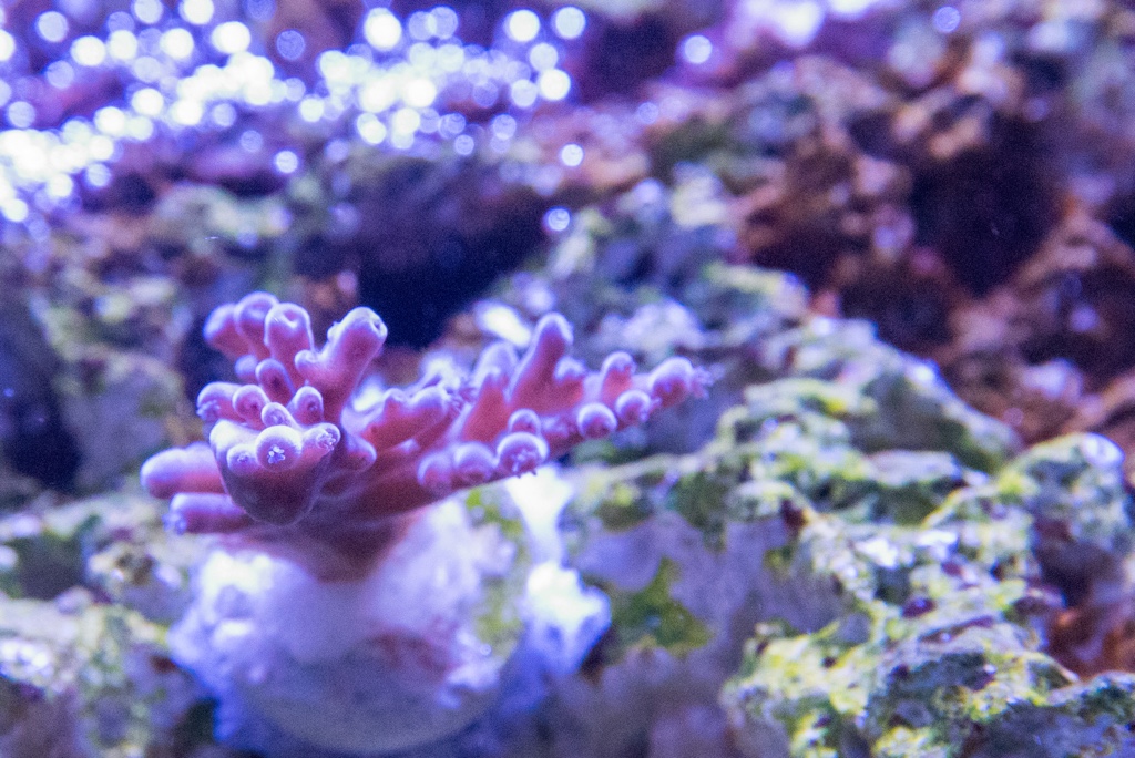 DSC_1596.jpg