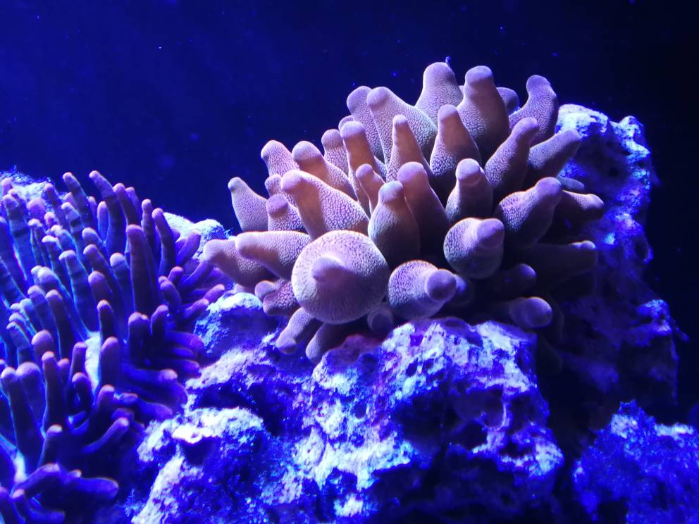6295d2dce6ec47c0cc3939bf42e8af15.jpg