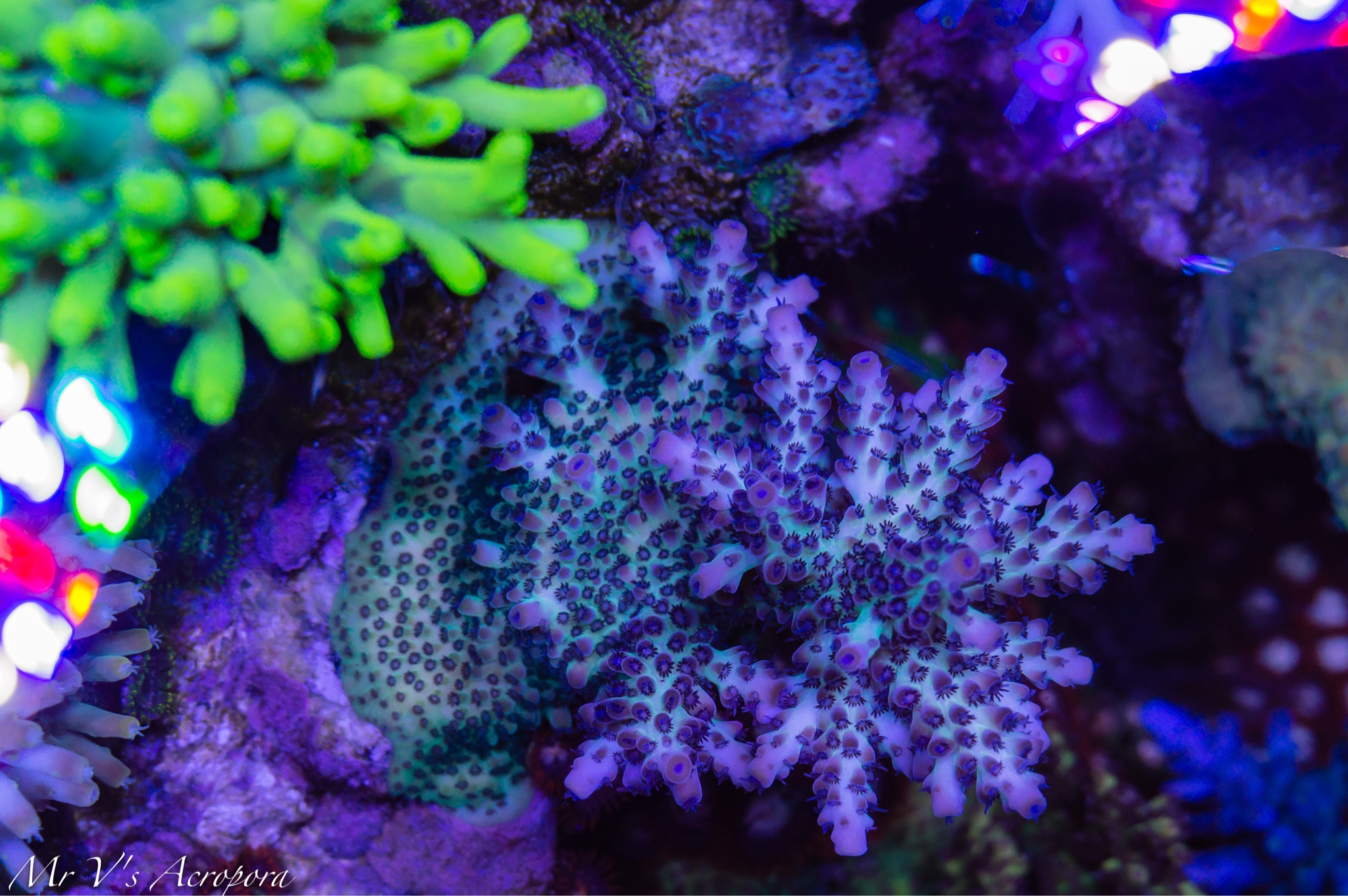 2646052eff1d5a213e26b015dbf812d4.jpg