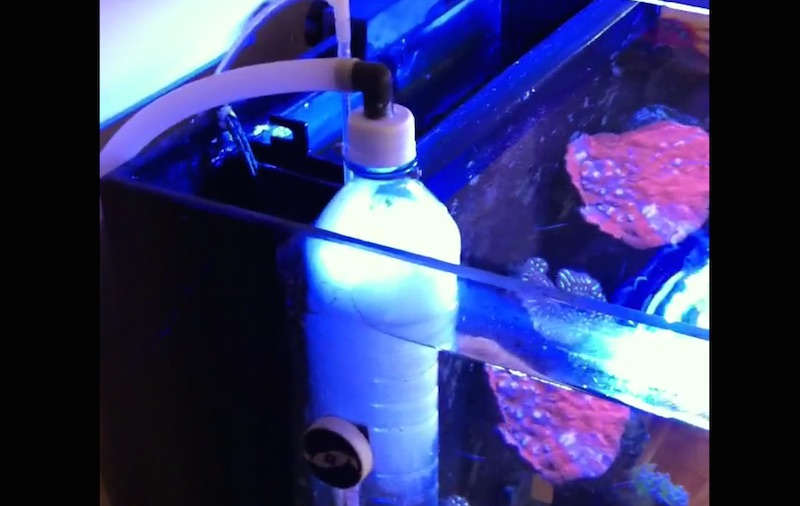 Can you DIY a protein skimmer? How?  REEF2REEF Saltwater and Reef Aquarium  Forum
