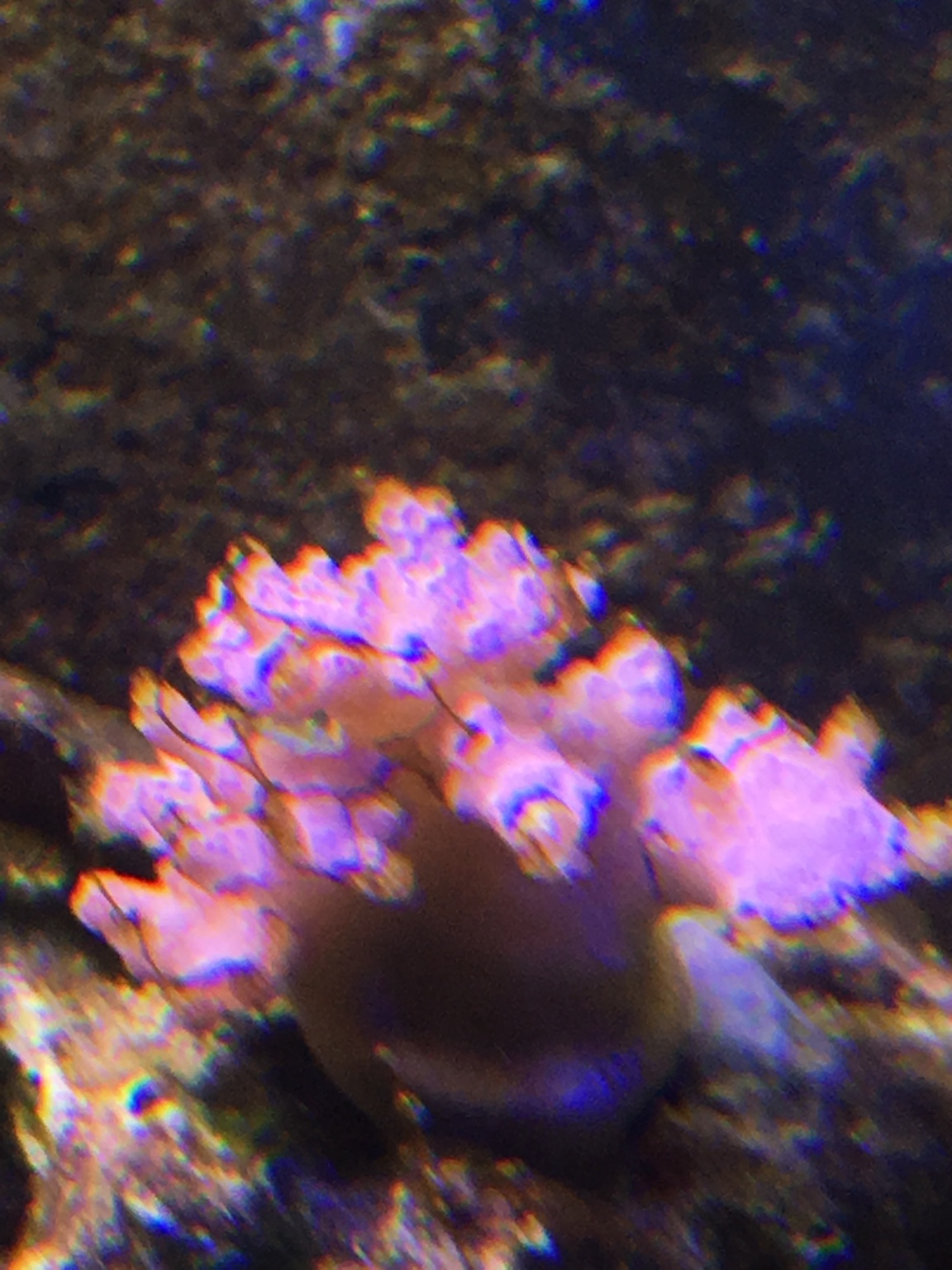 b929208b1fbf3d4587e60c8b2d0785af.jpg