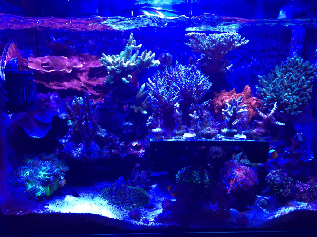 3aeb30c282cbaae16e086f190f7fbb09.jpg