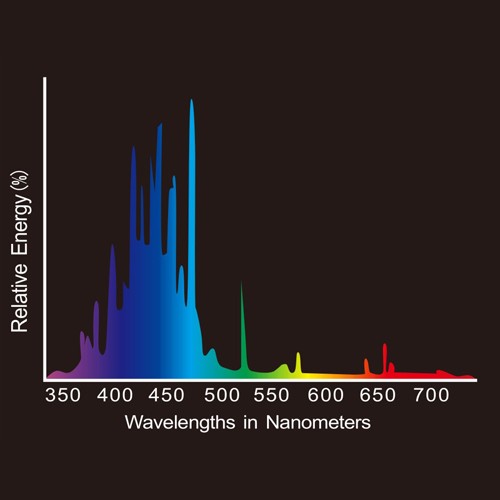 T5-20K-500x500.jpg