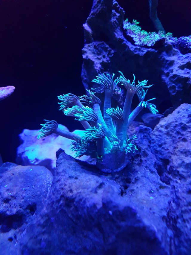 20171127_073840.jpg