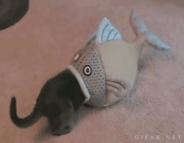 44M9omT.gif