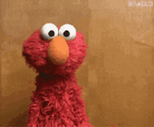 ninersunited-elmo.gif
