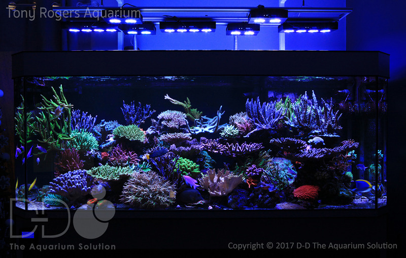 aquarium%20front.jpg~original