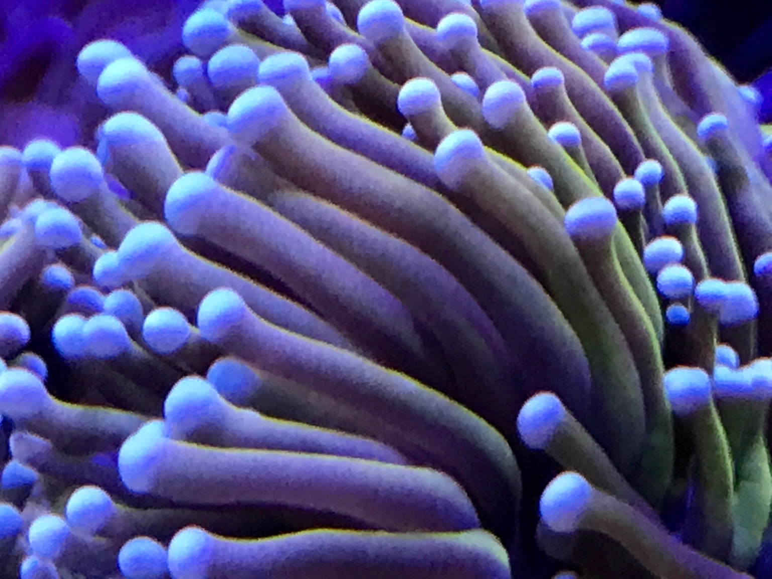f7a85f05e91c95cbdee074a66483e1b1.jpg