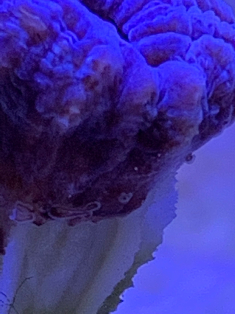 f1a00e6eeecfd31ffdfeab49f0076ec2.jpg