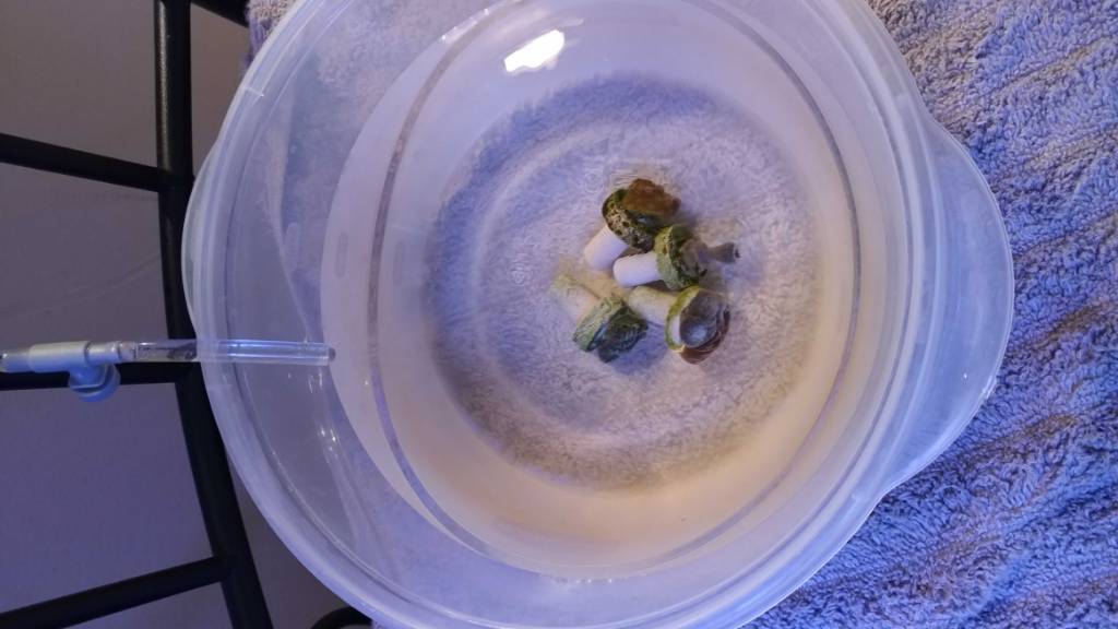 6ef925ae336824c8bd31acbfa583efb3.jpg