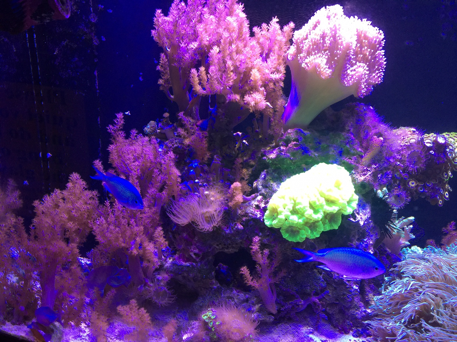 d52b639aa3be04728d5df975d5eedb95.jpg
